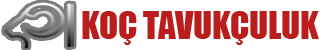 Koç Tavukçuluk